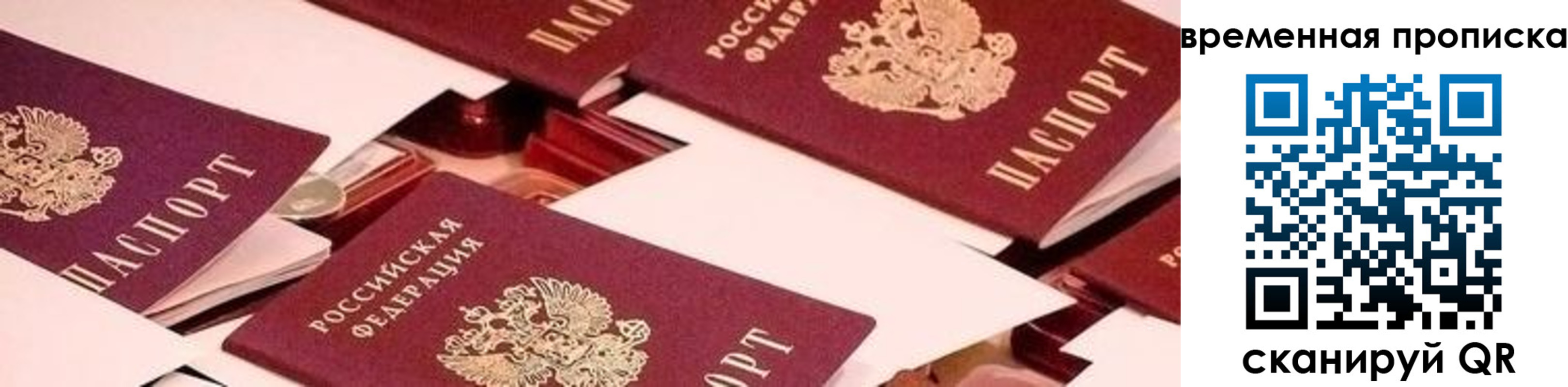 временная регистрация гарантия в Ленинградской области